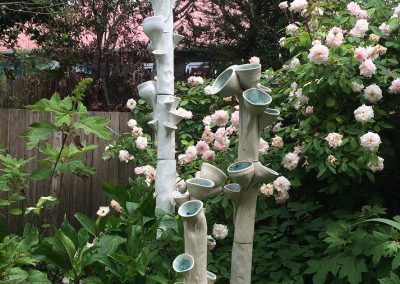 Osborne-Brown Installation A. Apothecium Cuppatea Arias  This is the largest of the apotheciums.  It has large cup like aci that carries spores similar to the Bird’s Nest Fungi of Costa Rica. 18”d x 74”h. Stoneware