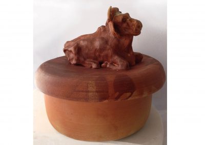 barnyard-bull