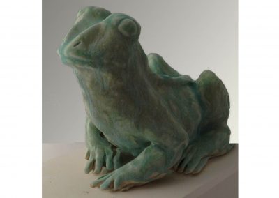 frog-study