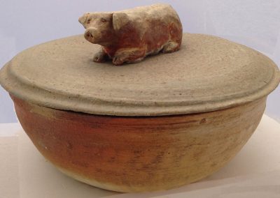 pig-in-the-barnyard