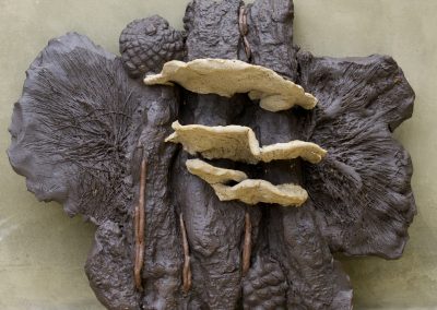 A. Laetiporus Puttus Backoni Shelfeii  Backoni feed on both live and dead pine bark.  Their deep veined flat surface contain millions of spores.  We ate one and it was delicious. 13”x12” stoneware + porcelain