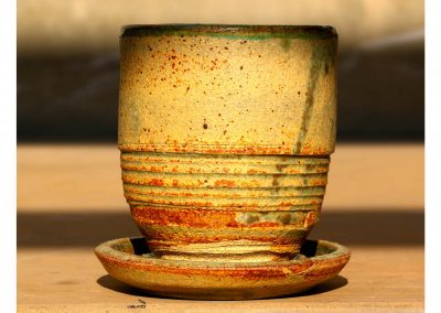 teacup-with-saucer-and-lid