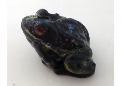 toad-study
