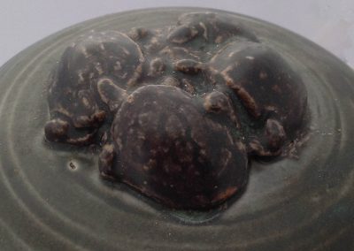 turtle-detail